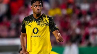 بوروسيا دورتموند يلاقي سانت باولي في الجولة الأولي بالدوري الألماني 2025