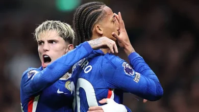 تشيلسي يواجه ولفرهامبتون اليوم في الدوري الإنجليزي الممتاز