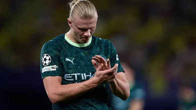 مباراة مانشستر سيتي ضد بوروسيا دورتموند اليوم في دوري أبطال أوروبا